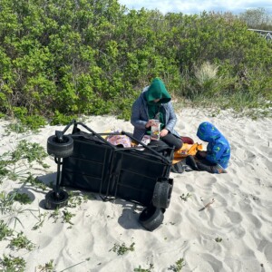 Wózek terenowy plażowy turystyczny zakupy transportowy stoł 200kg koła 10cm - miniatura 16