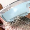 Skrobaczka do ryb z pojemnikiem na łuski ekspresowa wygodna obieraczka karp - miniatura 10
