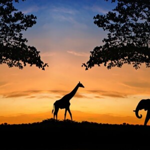 Haft diamentowy 5d zestaw obraz mozaika 50*100cm - miniatura 1