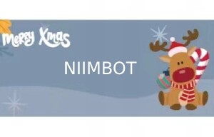 Niimbot etykiety naklejki 25*60mm 110szt prezenty - miniatura 2