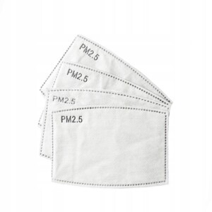 10x filtr hepa pm 2.5 węgiel dla dzieci 10 sztuk
