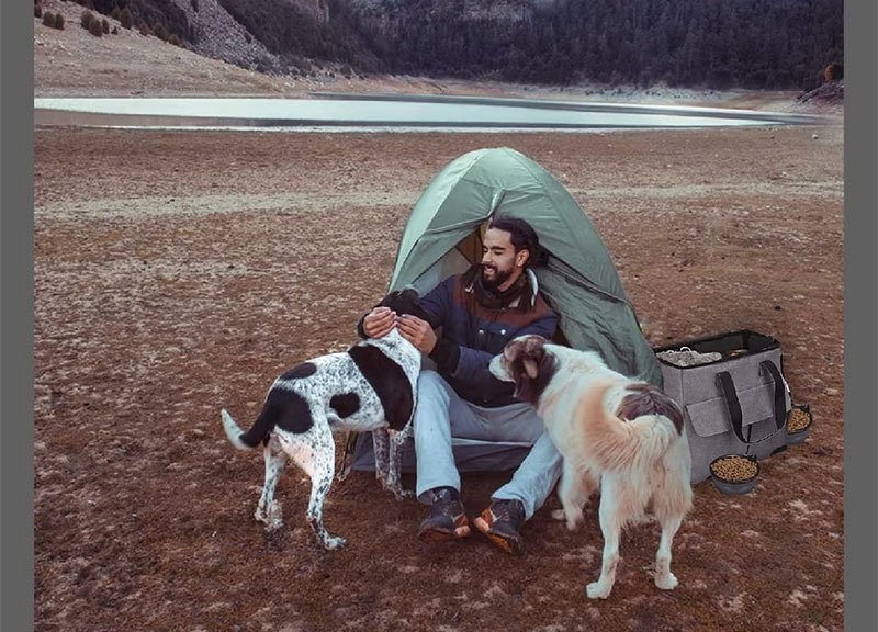 Torba podróżna dla zwierząt organizer dla psa kota na wycieczki komplet xxl - obrazek 8