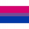 FLAGA TĘCZOWA LGBT DUŻA 90x150cm BISEKSUALNOŚĆ F7 - miniatura 10