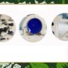 Formikarium TERRARIUM DLA MRÓWEK EDUKACYJNE do HODOWLI 27,5cm XXL STARTOWE - miniatura 10