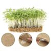 MATA OGRODNICZA KOKOSOWA DO KIEŁKOWANIA TRAWY KIEŁKÓW HYDROPONIKA 50x50cm Microgreens 500g/m2 - miniatura 1