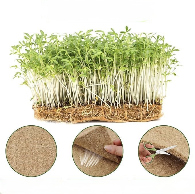 MATA OGRODNICZA KOKOSOWA DO KIEŁKOWANIA TRAWY KIEŁKÓW HYDROPONIKA 50x50cm Microgreens 500g/m2
